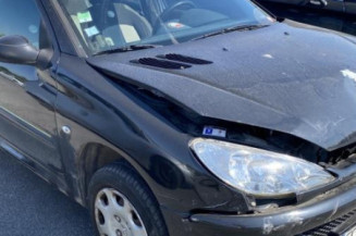 Porte arriere gauche PEUGEOT 206