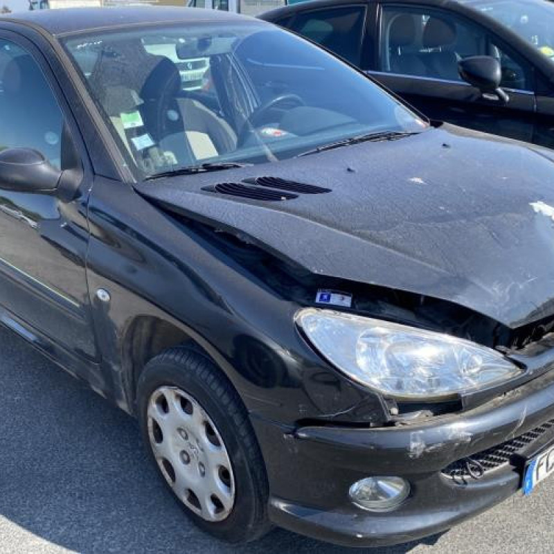 Porte arriere gauche PEUGEOT 206 Photo n°8