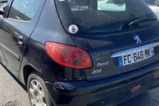 Porte arriere gauche PEUGEOT 206