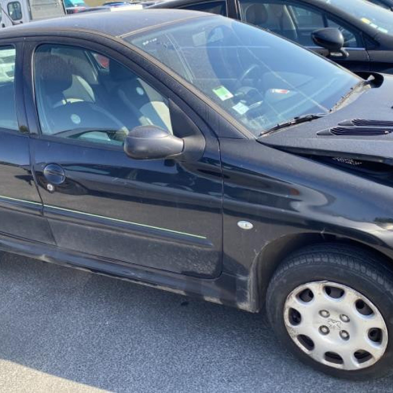 Porte arriere gauche PEUGEOT 206 Photo n°12