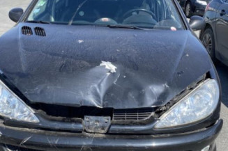 Porte arriere gauche PEUGEOT 206