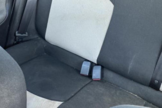 Porte arriere gauche PEUGEOT 206