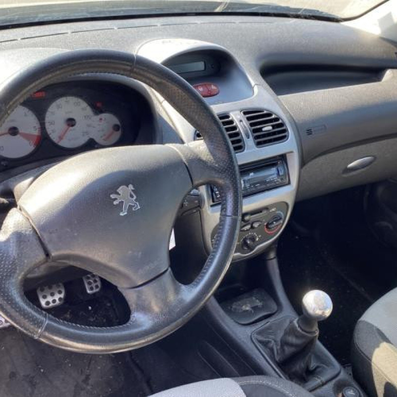 Porte arriere gauche PEUGEOT 206 Photo n°20