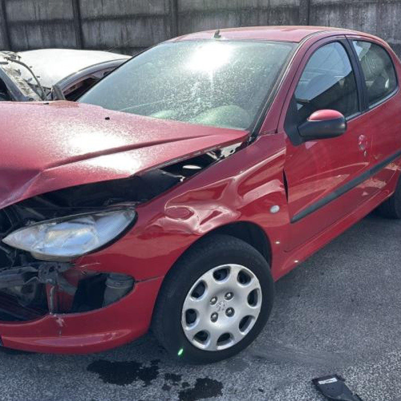 Porte avant droit PEUGEOT 206 Photo n°8