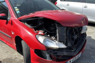 Porte avant droit PEUGEOT 206