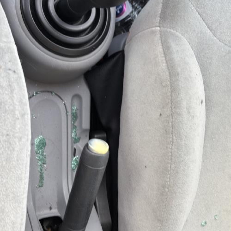 Porte avant droit CITROEN C3 1 Photo n°20