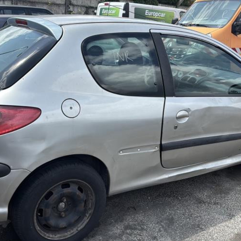 Feu arriere principal gauche (feux) PEUGEOT 206 Photo n°10