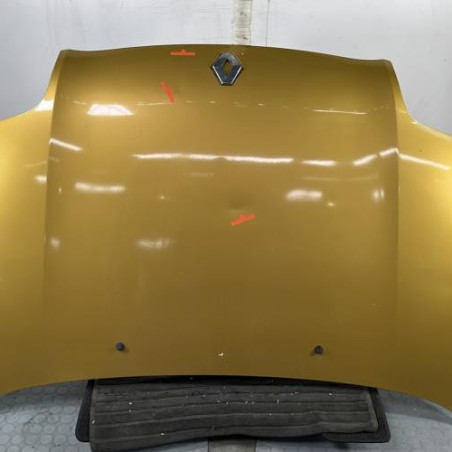 Capot RENAULT CLIO 2 Photo n°1
