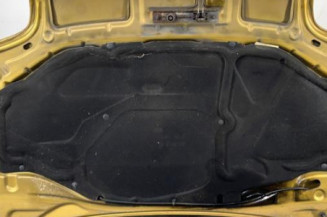 Capot RENAULT CLIO 2