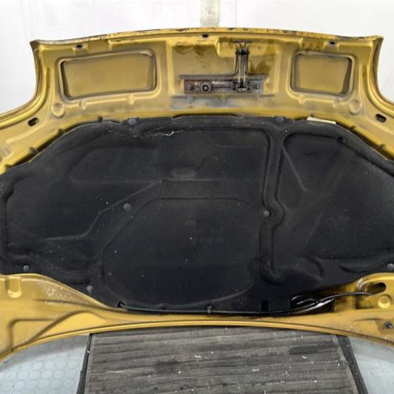 Capot RENAULT CLIO 2 Photo n°12