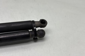 Verin de coffre CITROEN C3 3