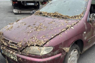 Neiman CITROEN XSARA