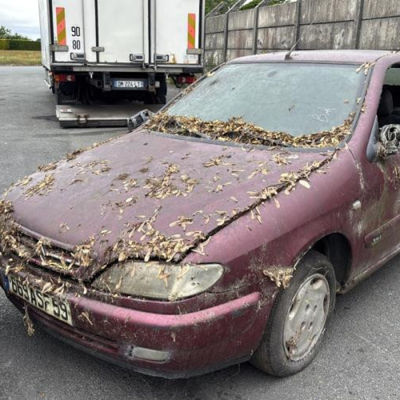 Neiman CITROEN XSARA Photo n°6