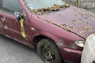 Neiman CITROEN XSARA