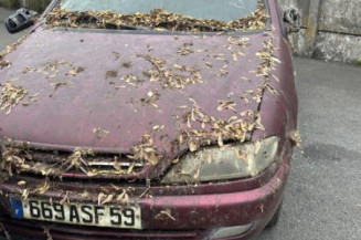 Neiman CITROEN XSARA