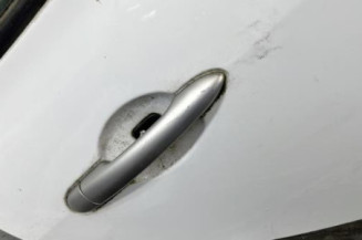 Porte arriere droit RENAULT CLIO 3