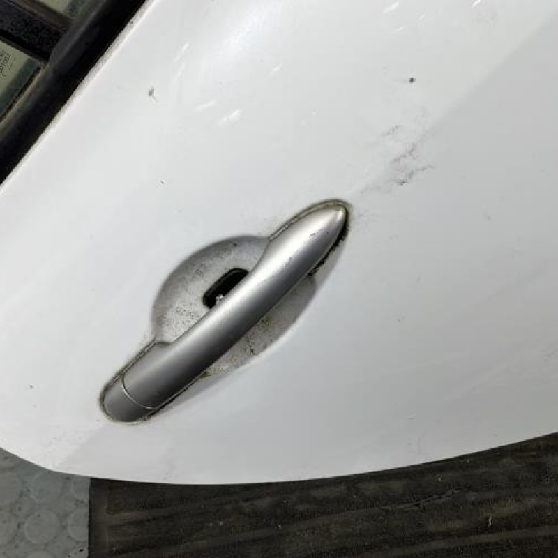 Porte arriere droit RENAULT CLIO 3 Photo n°2