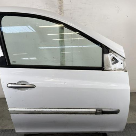 Porte avant droit RENAULT CLIO 3 Photo n°1