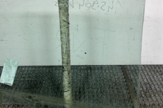 Vitre arriere gauche RENAULT CLIO 3