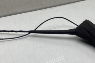 Antenne CITROEN C3 3