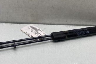 Verin de coffre CITROEN C3 3