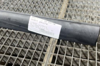 Baguette de porte avant gauche CITROEN C3 1