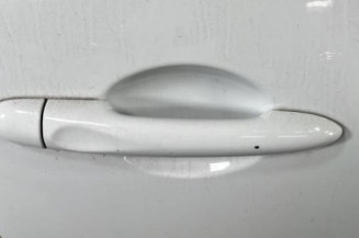 Porte avant droit RENAULT CLIO 4