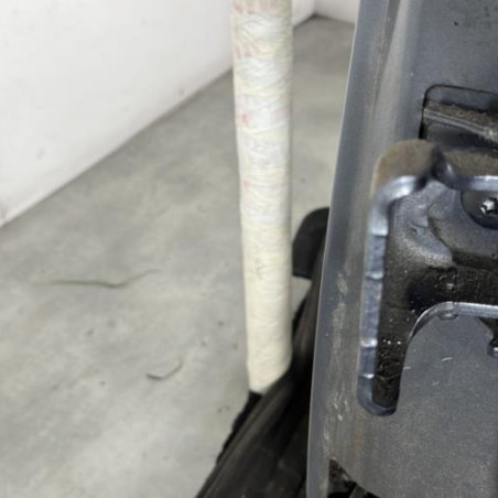 Porte arriere gauche CITROEN C3 1