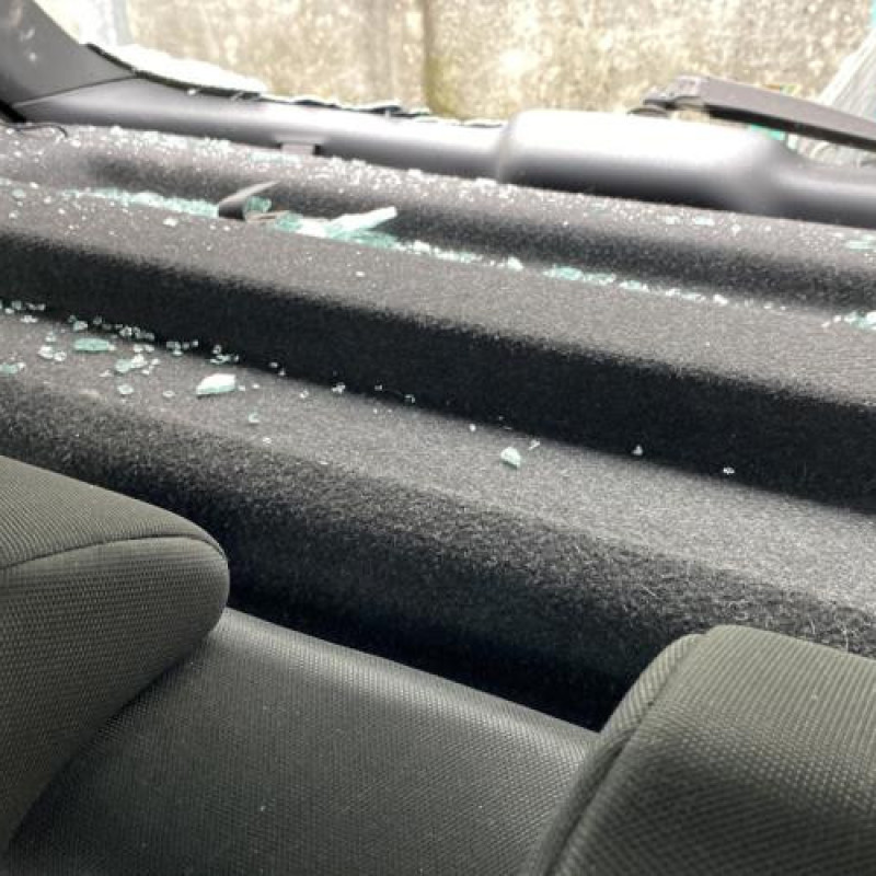 Porte arriere droit NISSAN QASHQAI 1 Photo n°19