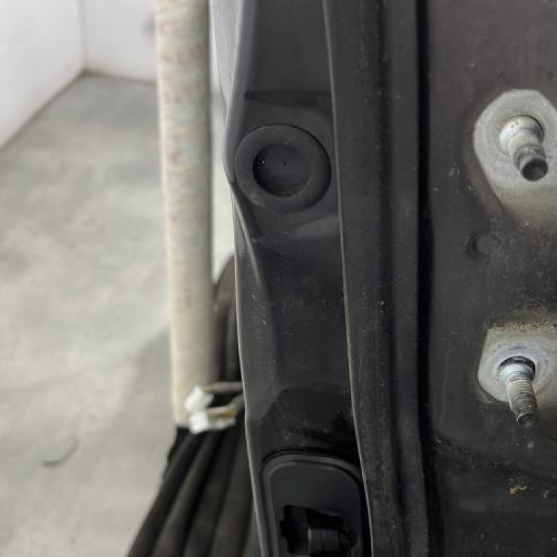 Porte avant gauche NISSAN QASHQAI 1 Photo n°4
