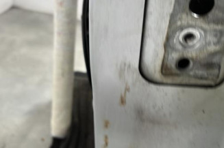 Porte avant gauche PEUGEOT 207