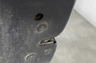 Porte avant gauche RENAULT SCENIC 2