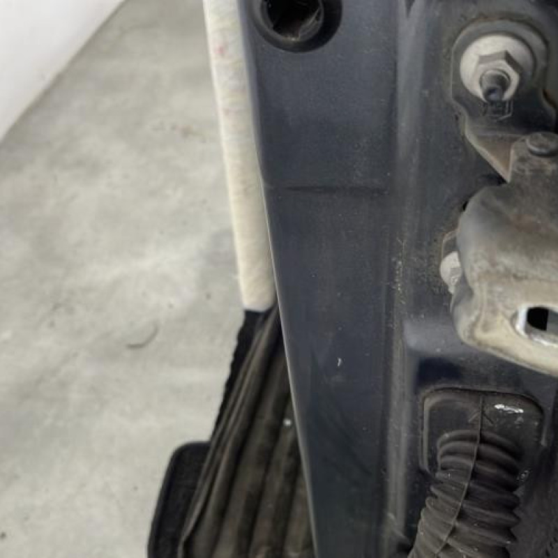 Porte avant gauche RENAULT SCENIC 2 Photo n°4