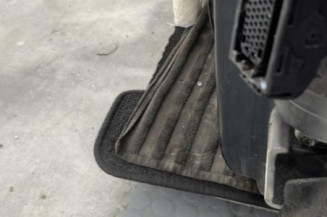 Porte avant gauche RENAULT SCENIC 2