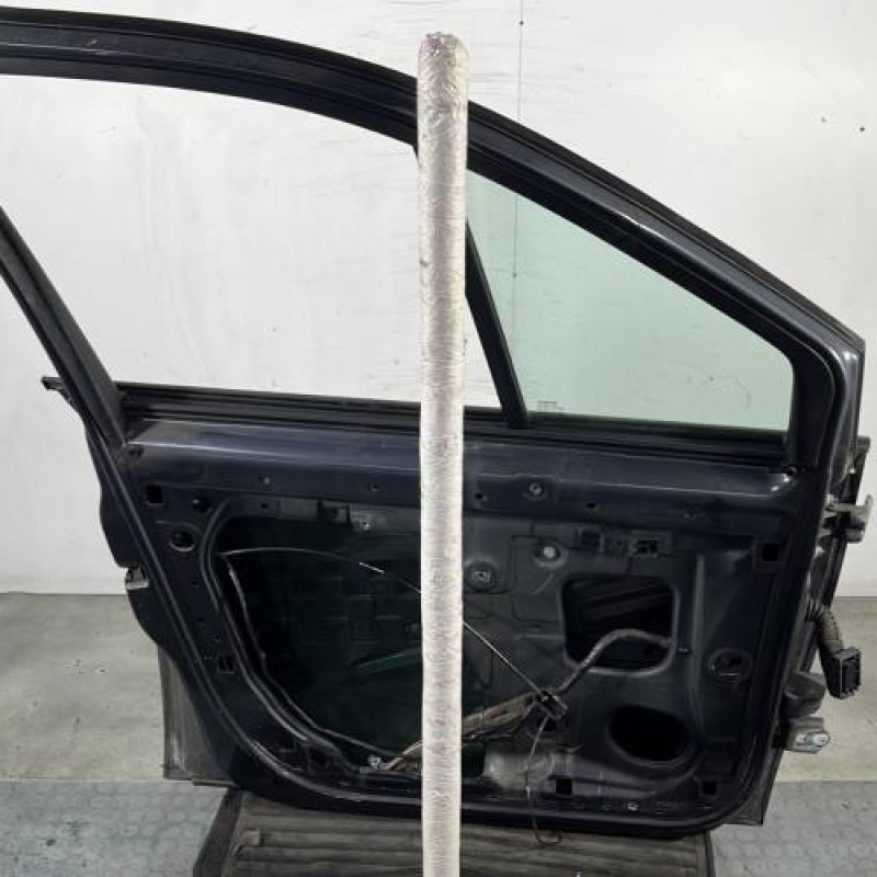 Porte avant gauche RENAULT SCENIC 2 Photo n°6