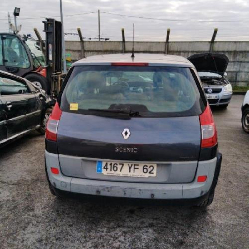 Porte avant gauche RENAULT SCENIC 2 Photo n°7