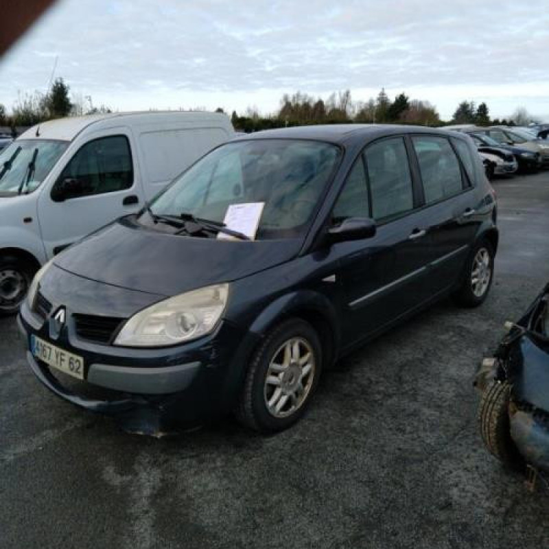 Porte avant gauche RENAULT SCENIC 2 Photo n°13