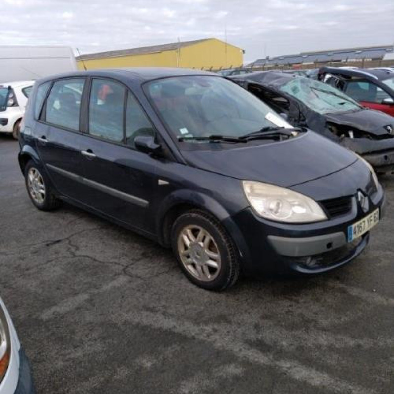 Porte avant gauche RENAULT SCENIC 2 Photo n°16