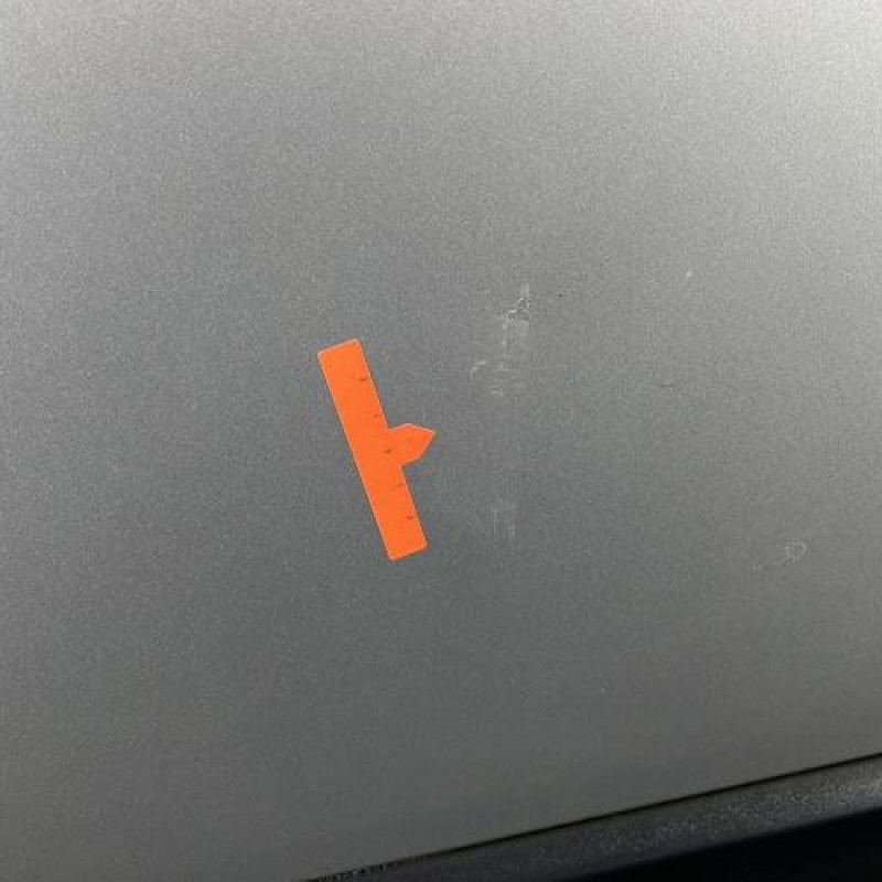 Porte avant gauche RENAULT SCENIC 2 Photo n°3