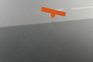Porte avant gauche RENAULT SCENIC 2