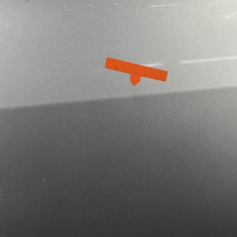 Porte avant gauche RENAULT SCENIC 2 Photo n°4