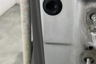 Porte avant gauche RENAULT SCENIC 2