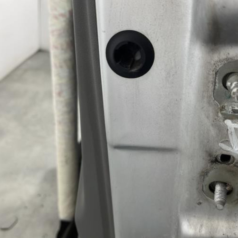 Porte avant gauche RENAULT SCENIC 2 Photo n°5