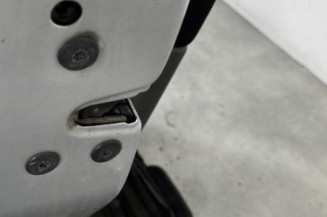 Porte avant gauche RENAULT SCENIC 2