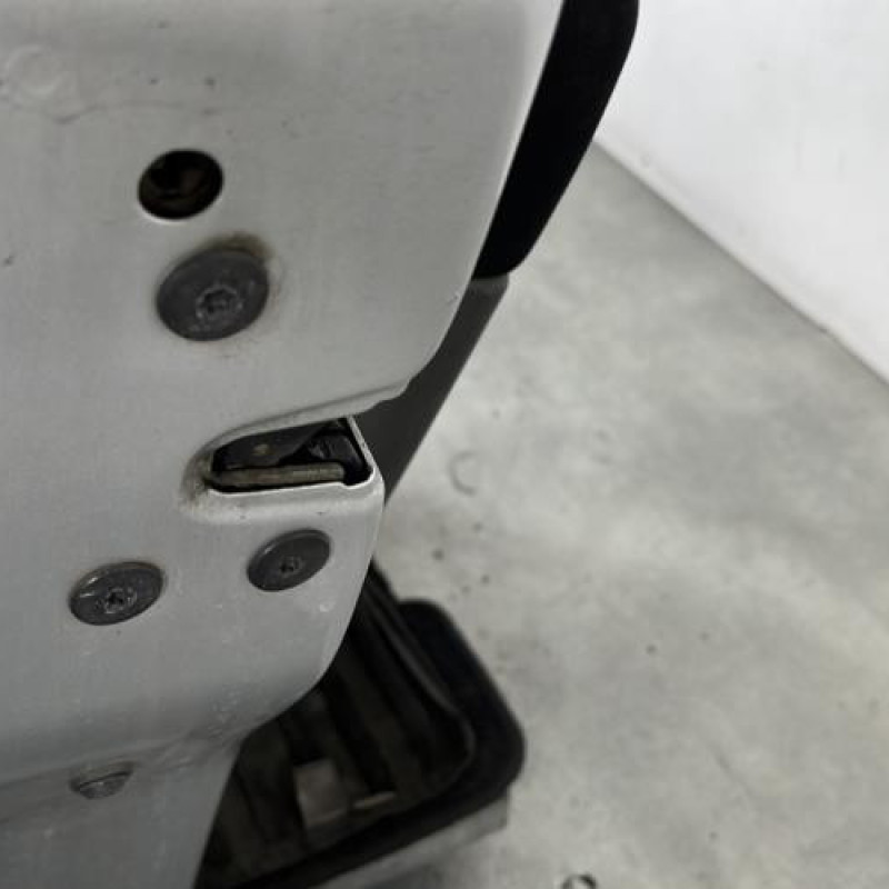 Porte avant gauche RENAULT SCENIC 2 Photo n°7