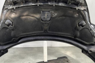 Capot CITROEN C8