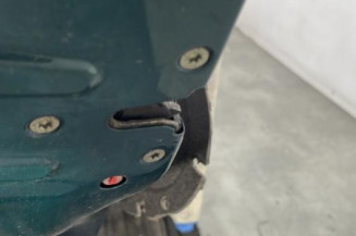Porte arriere gauche PEUGEOT 206