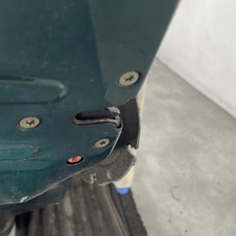 Porte arriere gauche PEUGEOT 206 Photo n°3