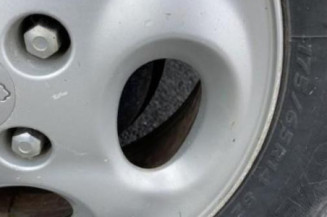 Porte arriere gauche PEUGEOT 206