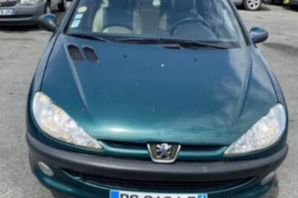 Porte arriere gauche PEUGEOT 206